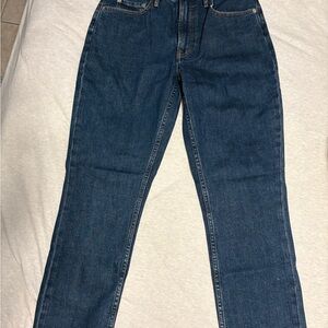 Everlane Original Cheeky Jean